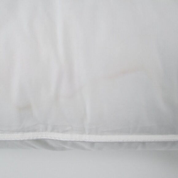 RESTORATION HARDWARE EURO SQUARE LINEN PILLOW SHAM + DOWN ALTERNATIVE PILLOW - Picture 16 of 16